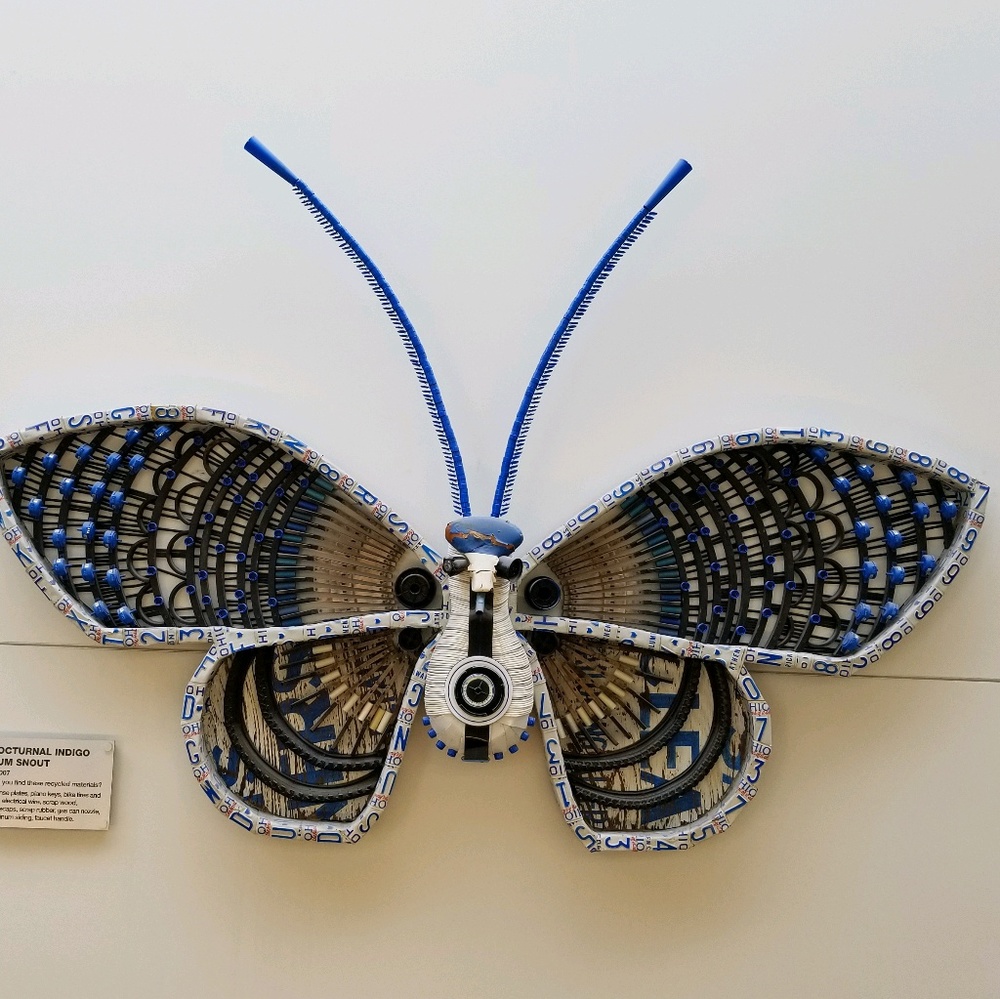 Meet your Posher, Kasey